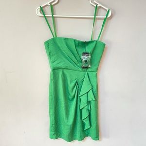 $299 BCBG vintage kelly Green Larre Dress